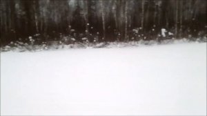 Озеро Большое, Фрязино