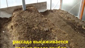 Обогрев теплицы навозной грядой часть 3/Батарейка тепла/Сельское подворье на Урале/