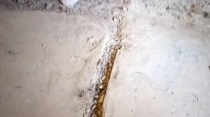 Стены и штукатурка старом фонде.