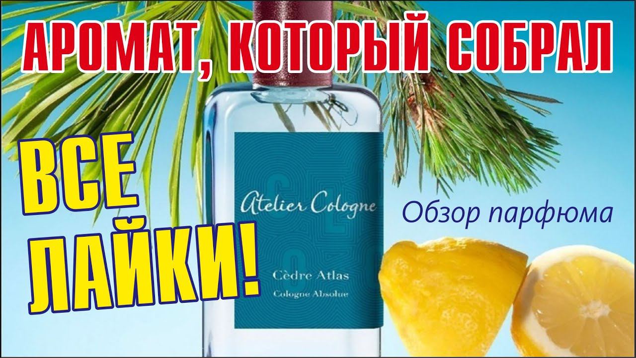 ТОРЖЕСТВО МОЛЕКУЛЯРНОЙ ХИМИИ: Cedre Atlas Atelier Cologne // ОБЗОР АРОМАТА // Fragrance Review смотреть онлайн