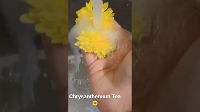 Chrysanthemum Tea || Chinese medicine || Get clear skin 🌼🌼#herbal #tea