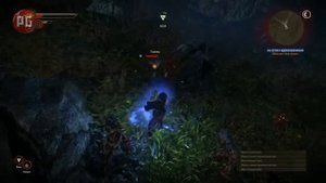 The Witcher 2. Видеообзор