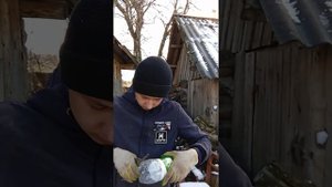 Как сделать из бутылки почтовый ящик легко и быстро