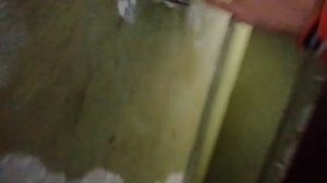 Обзор дома серии 124-87-107