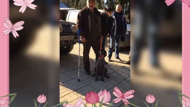 День Рождения заводчика и владельца питомника con Jagerwelt смотреть онлайн