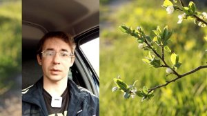 Алексей Чернов. Необузданное христианство.