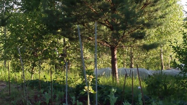 Это наше поместье. Творение рук наших. Лето 2018 смотреть онлайн