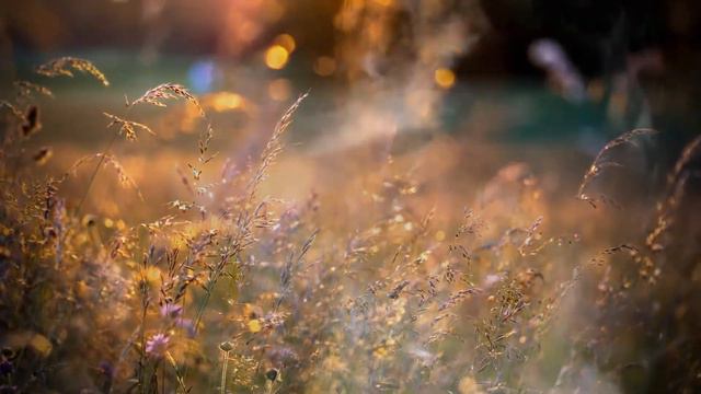 ТУМАН - Жанна Бичевская - FOG - Jeanne Bichevskaya