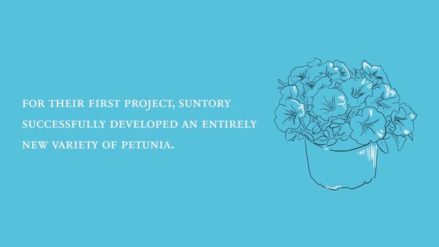 Suntory Flowers: A Spirit of Cultivation смотреть онлайн