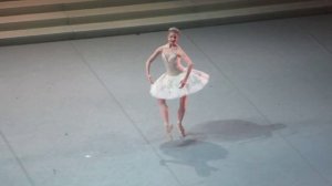 Анжелина Воронцова Вариация принцессы Авроры 3 акт