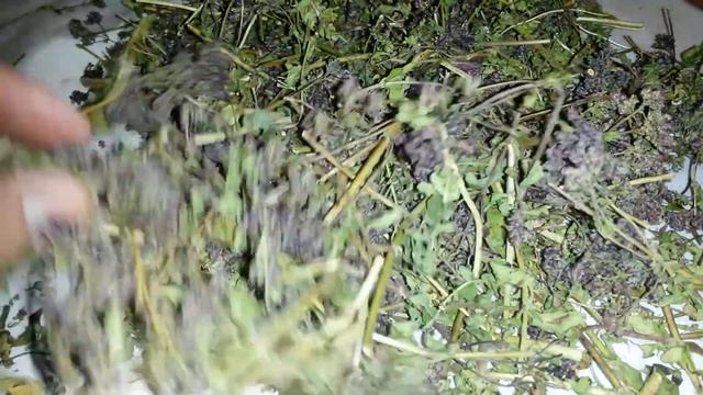 Душица, купить. смотреть онлайн