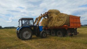 МТЗ 82.1 Погрузка Рулонов Сена на Камазы.
