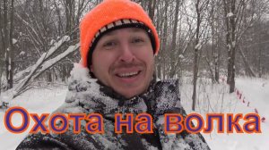 Охота на волков с флажками #1