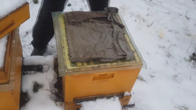 Четкая пасека Игоря Петруничева в Тульской области. смотреть онлайн