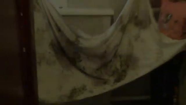 Правда ли??? Проверяем Ariel pods смотреть онлайн