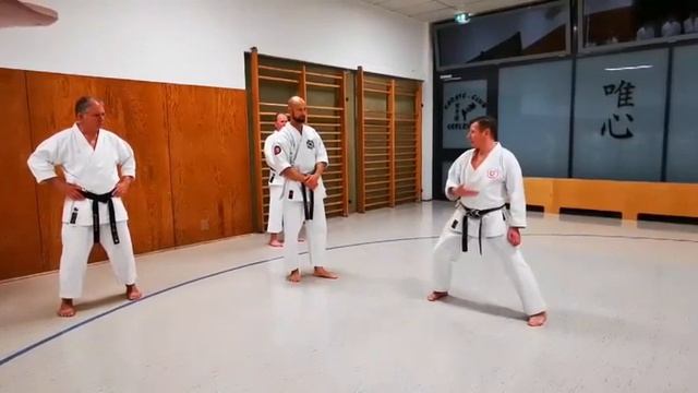 Goju Ryu Hannover 2019,дыхание-упражнение смотреть онлайн