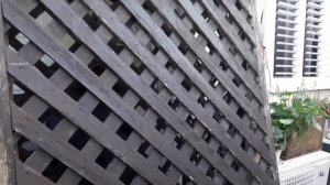 DIY. Новая жизнь старых вещей.  Деревянные панели=Уютная веранда