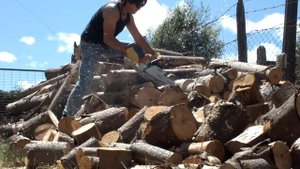 Chainsaw STIHL MS 260