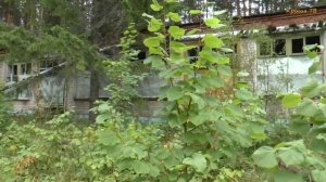 Заброшенные пионерские лагеря - "Бережок"