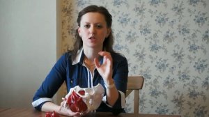 Упражнения Кегеля наоборот