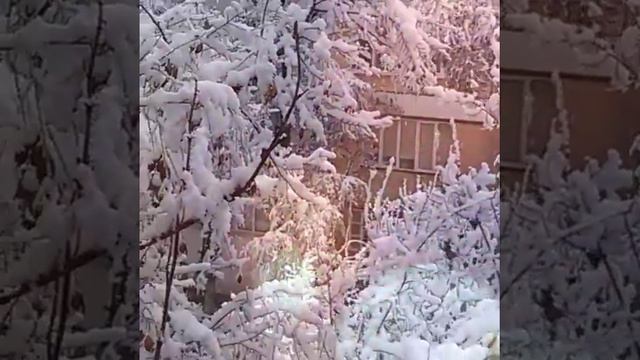 За окошком первый снег смотреть онлайн