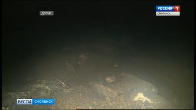 Смоляне поделились проблемами с губернатором смотреть онлайн