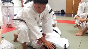 Боевые искусства мира. Сёриндзи-кэмпо