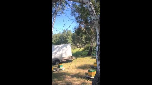 Облётник Троицк. Репортаж ведёт Кирилл Васильев смотреть онлайн