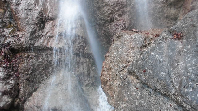 DSC_1940 смотреть онлайн