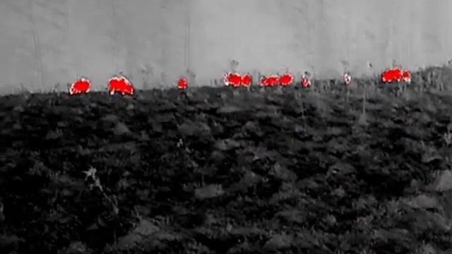 Termowizor Bubo-H15 смотреть онлайн