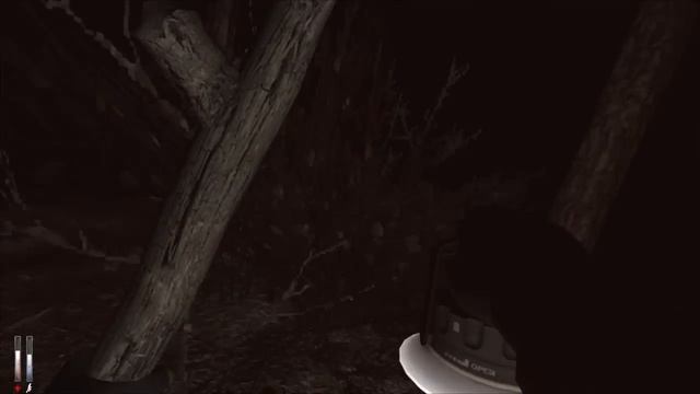 Cry Of Fear - Walkthrough [Pt 7/10 - Forest] смотреть онлайн