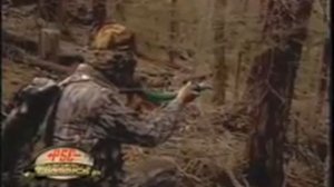 Охота на оленя с манком и луком