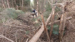 TREE ROOT bushcraft shelter with FIREPLACE | solo overnight bushcraft camping in the forest