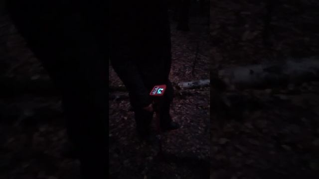 Магнитометр Гефест 4 поиск через мусор