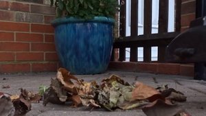 Hyundai HYBV3000E 3-in-1 Electric Garden Blower / Vacuum / Shredder