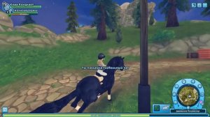 Фризская спортивная лошадь в реальности и SSO | Где найти всех фризов в Star Stable Online