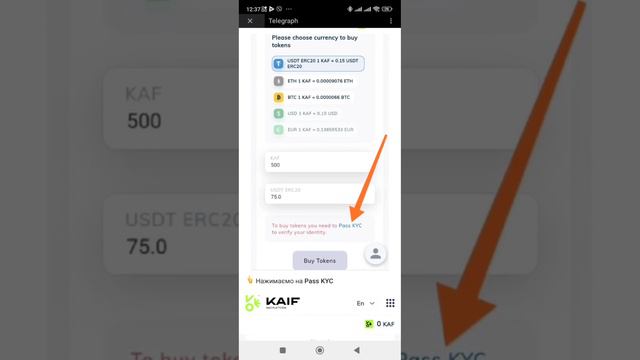 Почему проект KAIF можно считать прибыльным? смотреть онлайн