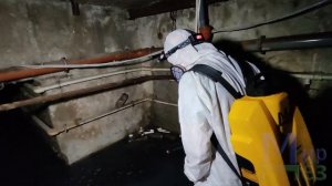 Бабочница в подвале. Обработка МирДез (2023) 6