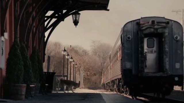 ☄THE LOYAL DOG : HACHIKO смотреть онлайн