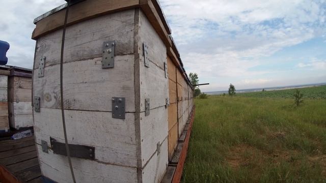 Ты пчела я пчеловод а мы любим мед. А мне повезет, с тобой мне повезет. Собираем мёд 2019 под музык смотреть онлайн