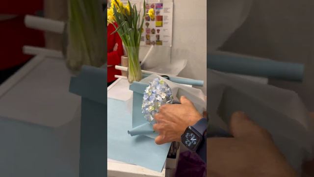 Как упаковать одну гортензию #flowerstory #мастеркласс #гортензия #какупаковать #корейскаяупаковка