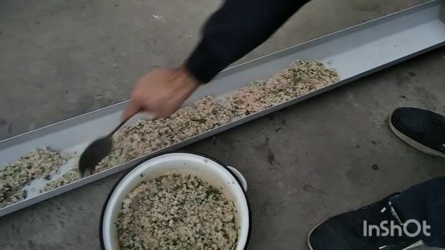 Кормление кур несушек.Чем полезна перловая крупа для кур?
