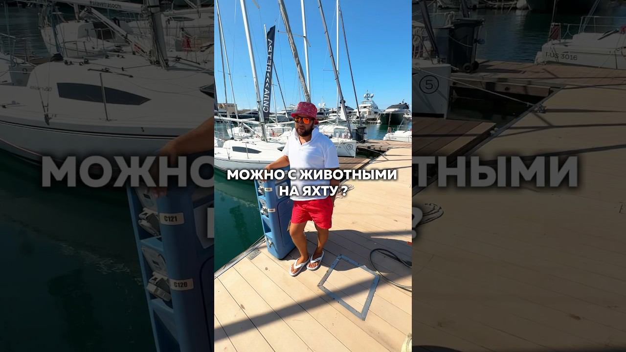 Аренда яхт  в Сочи по ссылке в комментарии  #арендаяхтсочи #арендаяхтысочи #яхтинг #яхта #яхтысочи