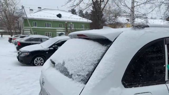 ДВУХНЕДЕЛЬНЫЙ ВЛОГ | Снова история про рыб и квадрик
