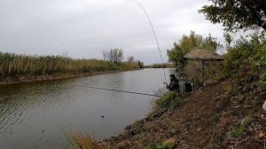 Осенняя рыбалка на поплавочную удочку, жор карася