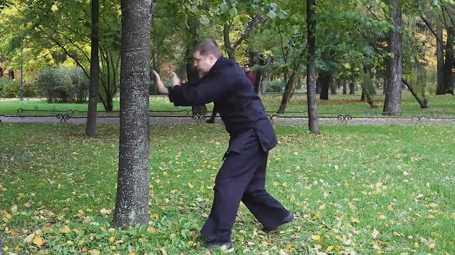 Упражнения с деревом смотреть онлайн