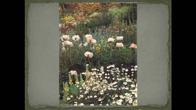 Гравийные сады смотреть онлайн