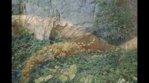 Сочи до зимней олимпиады 2014года