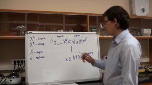 Сцепленное с полом наследование. Разбор задачи №6.4