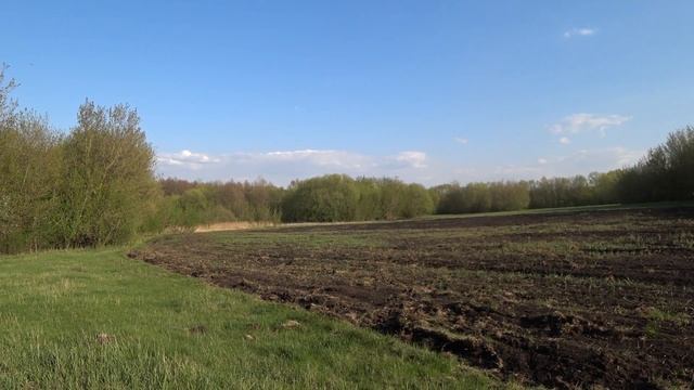 БУДНИ ДЕРЕВЕНЩИНЫ // Сеем траву трактором МТЗ-80 // 24 часа в деревне